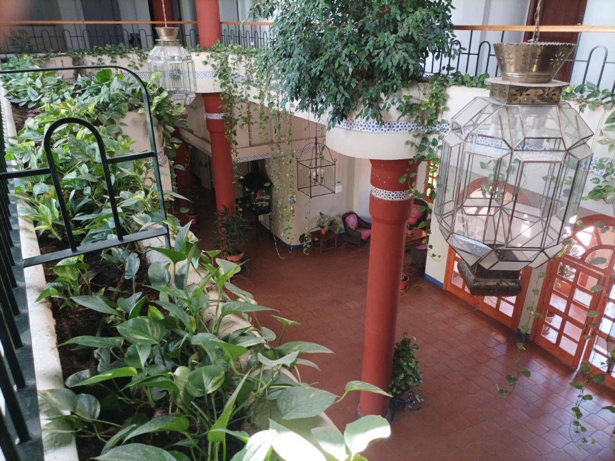 Estudio Reina Y Pastora El Rocio Apartment Екстериор снимка